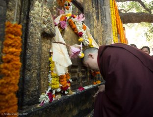 Thaye Dorje, His Holiness the 17th Gyalwa Karmapa, at the Kagyu Monlam in Bodh Gaya, December 2018