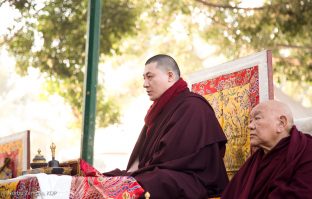 Thaye Dorje, His Holiness the 17th Gyalwa Karmapa, leads prayers under the Bodhi Tree, where the historical Buddha attained enlightenment. Kagyu Monlam, Bodh Gaya, December 2018