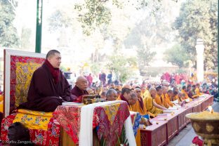 Thaye Dorje, His Holiness the 17th Gyalwa Karmapa, leads prayers under the Bodhi Tree, where the historical Buddha attained enlightenment. Kagyu Monlam, Bodh Gaya, December 2018