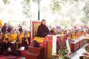 Thaye Dorje, His Holiness the 17th Gyalwa Karmapa, leads prayers under the Bodhi Tree, where the historical Buddha attained enlightenment. Kagyu Monlam, Bodh Gaya, December 2018