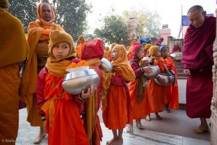 The Kagyu Monlam, Bodh Gaya, December 2018