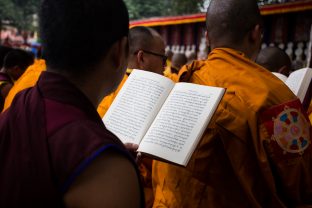 Thaye Dorje, His Holiness the 17th Gyalwa Karmapa, presides over prayers on the opening day of the Kagyu Monlam in Bodh Gaya, India, in December 2019 (Photo/Norbu Zangpo)