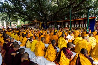 Thaye Dorje, His Holiness the 17th Gyalwa Karmapa, on day three of the 2019 Kagyu Monlam, Bodh Gaya, India, December 2019 (Photo/Norbu Zangpo)