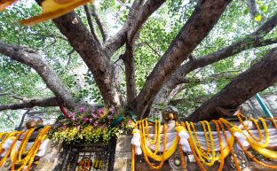 Thaye Dorje, His Holiness the 17th Gyalwa Karmapa, on day three of the 2019 Kagyu Monlam, Bodh Gaya, India, December 2019 (Photo/Norbu Zangpo)