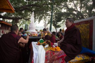 Thaye Dorje, His Holiness the 17th Gyalwa Karmapa, presides over aspiration prayers on the final day of the 2019 Kagyu Monlam, Bodh Gaya, India. Photo / Norbu Zangpo