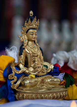 Thaye Dorje, His Holiness the 17th Gyalwa Karmapa, presides over aspiration prayers on the final day of the 2019 Kagyu Monlam, Bodh Gaya, India. Photo / Norbu Zangpo