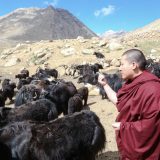 During a break in travelling, Thaye Dorje, His Holiness the 17th Gyalwa Karmapa, is received by a nomad family. Photo / Magda Jungowska