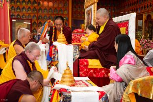 Thaye Dorje, His Holiness the 17th Gyalwa Karmapa, Sangyumla and Thugseyla at Dhagpo Kundreul Ling in Le Bost, France