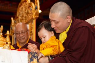 Thaye Dorje, His Holiness the 17th Gyalwa Karmapa, Sangyumla and Thugseyla at Dhagpo Kundreul Ling in Le Bost, France