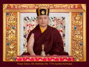 Official Portrait of Thaye Dorje, His Holiness the 17th Gyalwa Karmapa