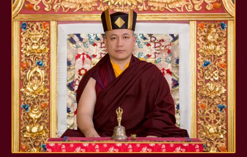 Official Portrait of Thaye Dorje, His Holiness the 17th Gyalwa Karmapa