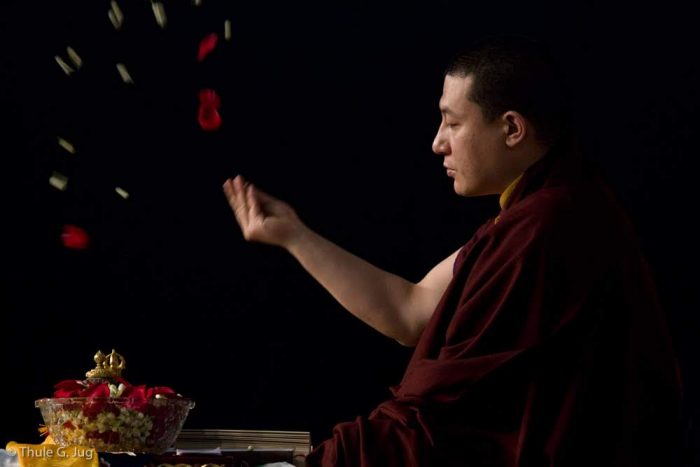 Thaye Dorje, His Holiness the 17th Gyalwa Karmapa