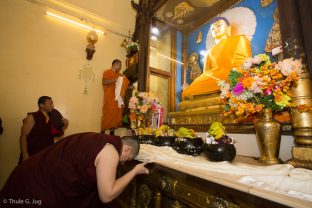 Thaye Dorje, His Holiness the 17th Gyalwa Karmapa, pays respect to the historical Buddha at the Kagyu Monlam in Bodh Gaya