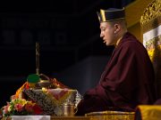 Thaye Dorje, His Holiness the 17th Gyalwa Karmapa