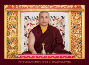 Thaye Dorje, His Holiness the 17th Gyalwa Karmapa