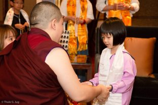 Audiences with Thaye Dorje, His Holiness the 17th Gyalwa Karmapa