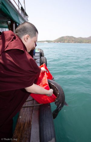 Thaye Dorje, His Holiness the 17th Gyalwa Karmapa, releases a live fish into the sea in Hong Kong harbour