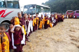 Young monks line up outside the Sharminub Institute waiting for Karmapa's arrival