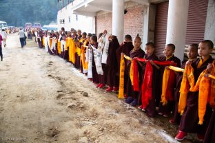 Young monks line up outside the Sharminub Institute waiting for Karmapa's arrival