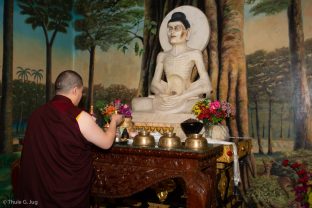 Thaye Dorje, His Holiness the 17th Gyalwa Karmapa