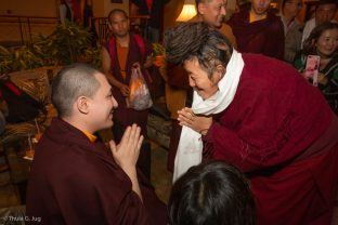 Karmapa granted several audiences to various groups and individuals for blessings and talks