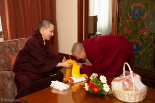 Audiences with Karmapa