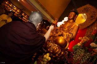 Thaye Dorje, His Holiness the 17th Gyalwa Karmapa, visits Indonesia in November 2019