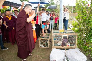 Thaye Dorje, His Holiness the 17th Gyalwa Karmapa, visits Indonesia in November 2019