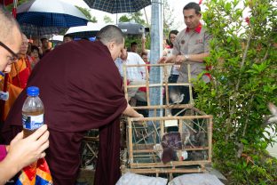 Thaye Dorje, His Holiness the 17th Gyalwa Karmapa, visits Indonesia in November 2019