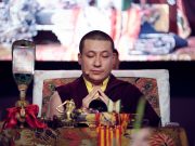 Thaye Dorje, His Holiness the 17th Gyalwa Karmapa, shares some meditations for our times