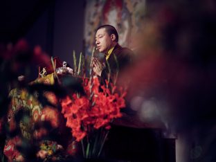 Day three in Dhagpo 2019: Thaye Dorje, His Holiness the 17th Gyalwa Karmapa, on the final day of his visit to Dhagpo Kagyu Ling. Photo / Tokpa Korlo