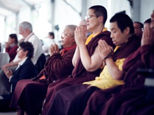 Day three in Dhagpo 2019: Thaye Dorje, His Holiness the 17th Gyalwa Karmapa, on the final day of his visit to Dhagpo Kagyu Ling. Photo / Tokpa Korlo