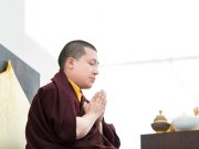Thaye Dorje, His Holiness the 17th Gyalwa Karmapa, shares a message of condolence following the passing of Sheila Dikshit