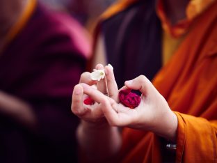 Thaye Dorje, His Holiness the 17th Gyalwa Karmapa, presides over aspiration prayers on the final day of the 2019 Kagyu Monlam, Bodh Gaya, India. Photo / Tokpa Korlo