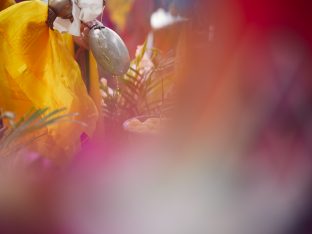 Thaye Dorje, His Holiness the 17th Gyalwa Karmapa, presides over aspiration prayers on the final day of the 2019 Kagyu Monlam, Bodh Gaya, India. Photo / Tokpa Korlo