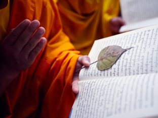 Thaye Dorje, His Holiness the 17th Gyalwa Karmapa, presides over aspiration prayers on the final day of the 2019 Kagyu Monlam, Bodh Gaya, India. Photo / Tokpa Korlo