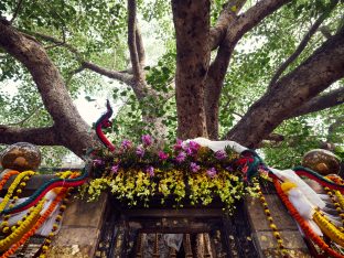 Thaye Dorje, His Holiness the 17th Gyalwa Karmapa, presides over aspiration prayers on the final day of the 2019 Kagyu Monlam, Bodh Gaya, India. Photo / Tokpa Korlo