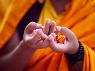 Thaye Dorje, His Holiness the 17th Gyalwa Karmapa, presides over aspiration prayers on the final day of the 2019 Kagyu Monlam, Bodh Gaya, India. Photo / Tokpa Korlo