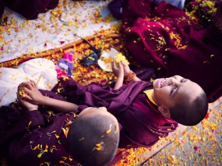 Thaye Dorje, His Holiness the 17th Gyalwa Karmapa, presides over aspiration prayers on the final day of the 2019 Kagyu Monlam, Bodh Gaya, India. Photo / Tokpa Korlo