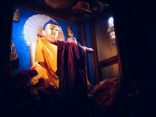 Thaye Dorje, His Holiness the 17th Gyalwa Karmapa, presides over aspiration prayers on the final day of the 2019 Kagyu Monlam, Bodh Gaya, India. Photo / Tokpa Korlo