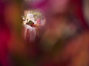 Thaye Dorje, His Holiness the 17th Gyalwa Karmapa, on day three of the 2019 Kagyu Monlam, Bodh Gaya, India, December 2019 (Photo/Tokpa Korlo)