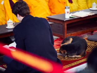 Thaye Dorje, His Holiness the 17th Gyalwa Karmapa, on day three of the 2019 Kagyu Monlam, Bodh Gaya, India, December 2019 (Photo/Tokpa Korlo)