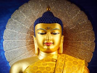 Thaye Dorje, His Holiness the 17th Gyalwa Karmapa, on day three of the 2019 Kagyu Monlam, Bodh Gaya, India, December 2019 (Photo/Tokpa Korlo)