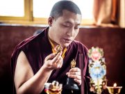 Thaye Dorje, His Holiness the 17th Gyalwa Karmapa