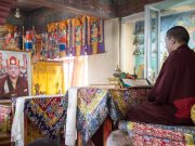 Thaye Dorje, His Holiness the 17th Gyalwa Karmapa, leading the Gyalwa Gyamtso puja to commemorate the 3rd anniversary of the parinirvana of His Holiness Kunzig Shamar Rinpoche. Photo / Magda Jungoska