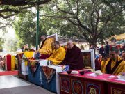 Kagyu Monlam in Bodh Gaya with Thaye Dorje, His Holiness the 17th Gyalwa Karmapa, 2015. Photo / Magda Jungowska