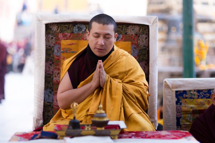 Thaye Dorje, His Holiness the 17th Gyalwa Karmapa, will visit France in 2015. Photo / Tokpa Korlo