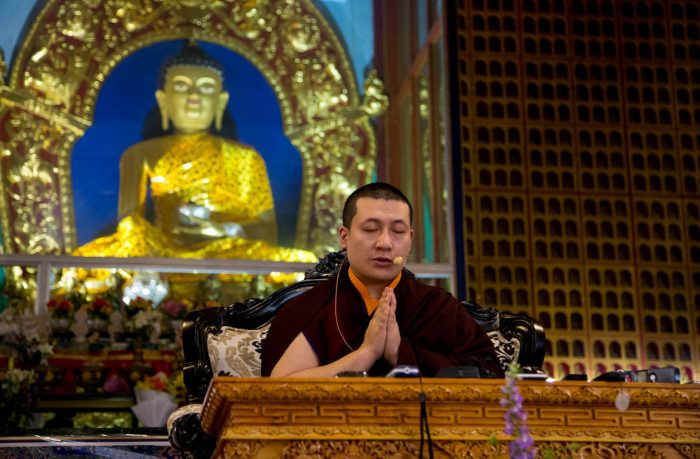 Thaye Dorje, His Holiness the 17th Gyalwa Karmapa, is to visit Nepal