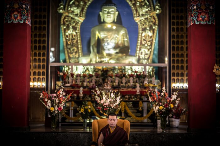 Thaye Dorje, His Holiness the 17th Gyalwa Karmapa in KIBI. Photo / Thule Jug