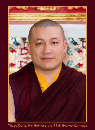 Official portrait of Thaye Dorje, His Holiness the 17th Gyalwa Karmapa. Photo / Thule Jug